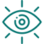 Vision Icon